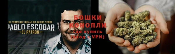 дмт Лагань
