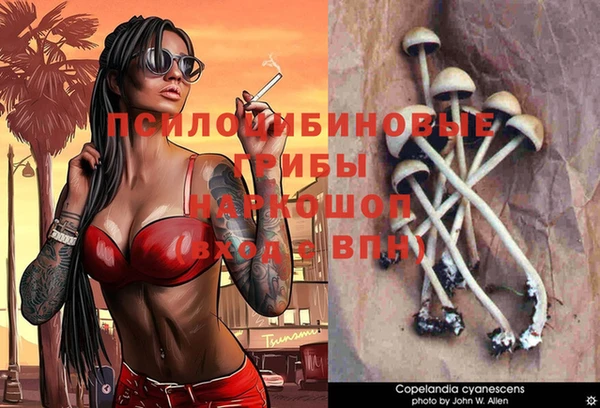дмт Лагань