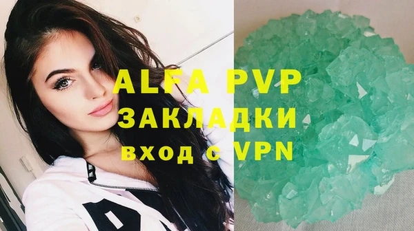 Альфа ПВП Ладушкин