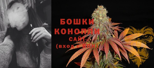 дмт Лагань