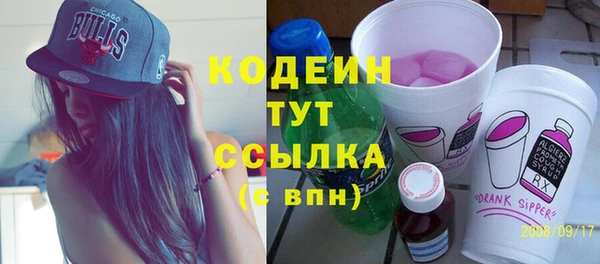 дмт Лагань