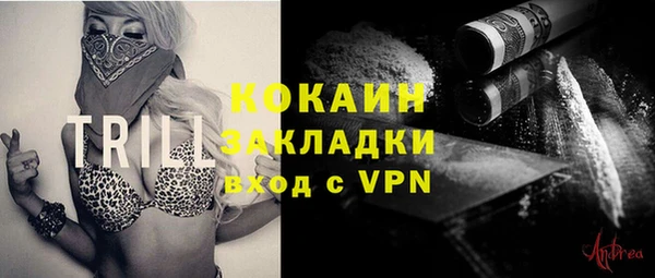 дмт Лагань